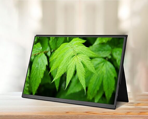 LCD LED Computer Monitor